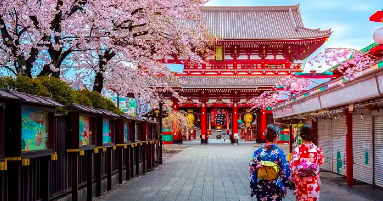 Tokyo' Hidden Gems