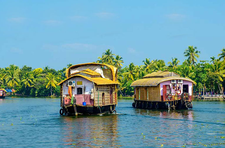 Cochin to Munnar to Alleppey: The Perfect Kerala Itinerary