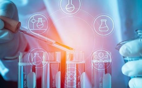 What Is In Vivo DMPK and How Does It Impact Drug Development